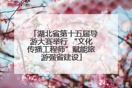 湖北省第十五届导游大赛举行 “文化传播工程师”赋能旅游强省建设