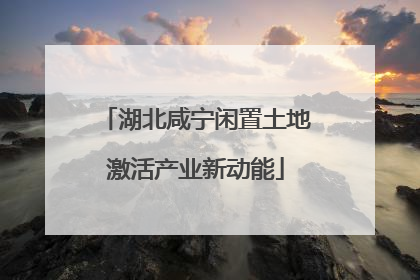湖北咸宁闲置土地激活产业新动能