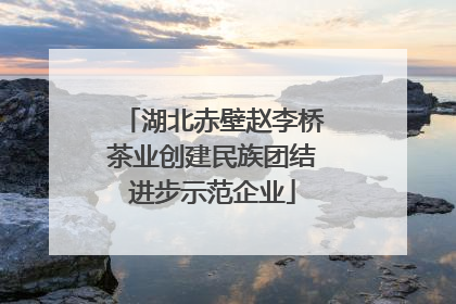 湖北赤壁赵李桥茶业创建民族团结进步示范企业