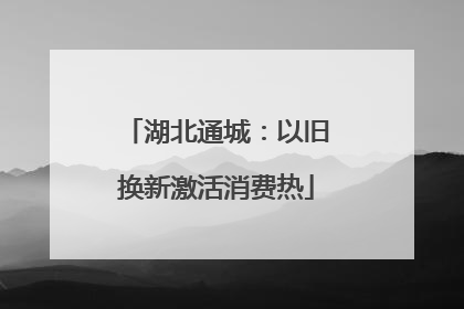 湖北通城：以旧换新激活消费热