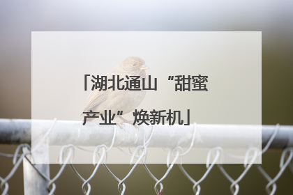 湖北通山“甜蜜产业”焕新机