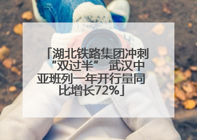 湖北铁路集团冲刺“双过半” 武汉中亚班列一年开行量同比增长72%