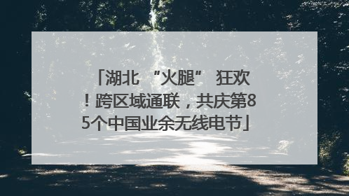 湖北 “火腿” 狂欢！跨区域通联，共庆第85个中国业余无线电节