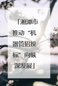 湘潭市推动“机器管招投标”向纵深发展