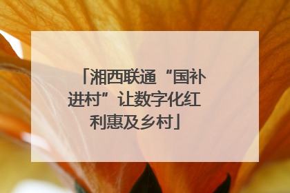 湘西联通“国补进村”让数字化红利惠及乡村