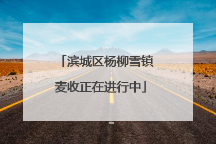 滨城区杨柳雪镇麦收正在进行中