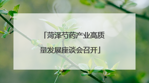 菏泽芍药产业高质量发展座谈会召开