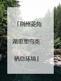荆州菱角湖重塑鸟类栖息环境