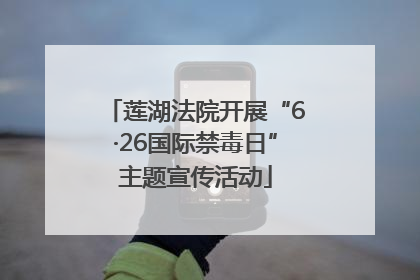 莲湖法院开展“6·26国际禁毒日”主题宣传活动