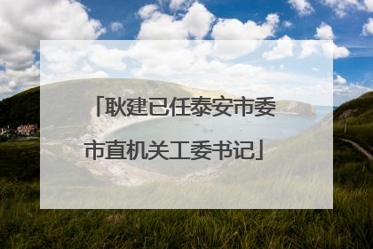 耿建已任泰安市委市直机关工委书记
