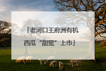 老河口王府洲有机西瓜“甜蜜”上市