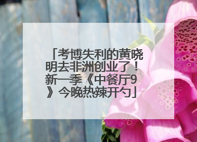 考博失利的黄晓明去非洲创业了！新一季《中餐厅9》今晚热辣开勺