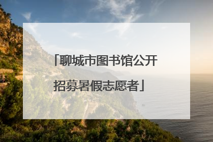聊城市图书馆公开招募暑假志愿者