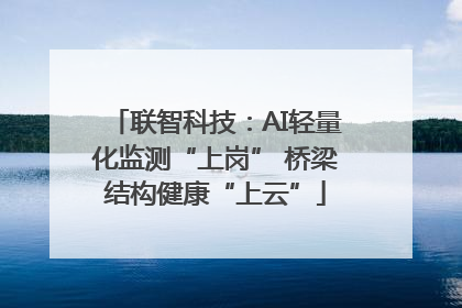 联智科技：AI轻量化监测“上岗” 桥梁结构健康“上云”