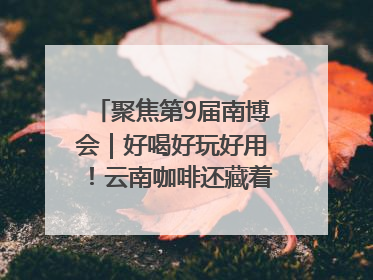 聚焦第9届南博会｜好喝好玩好用！云南咖啡还藏着多少惊喜？
