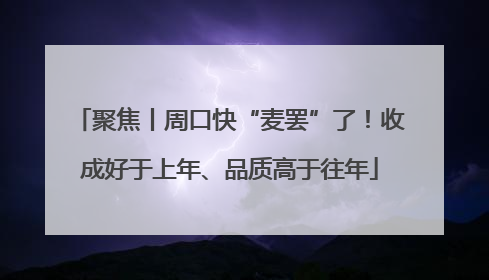 聚焦丨周口快“麦罢”了！收成好于上年、品质高于往年