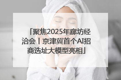 聚焦2025年廊坊经洽会丨京津冀首个AI招商选址大模型亮相
