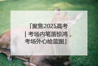 聚焦2025高考｜考场内笔落惊鸿，考场外心绘蓝图