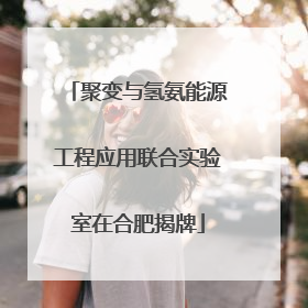 聚变与氢氨能源工程应用联合实验室在合肥揭牌