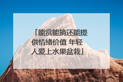 能赏能摘还能提供情绪价值 年轻人爱上水果盆栽
