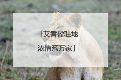 艾香盈驻地 浓情系万家