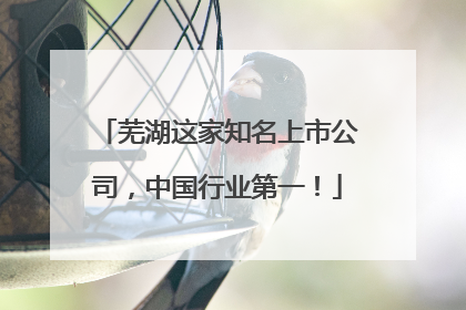 芜湖这家知名上市公司，中国行业第一！