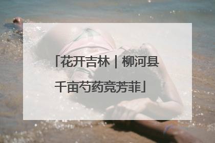 花开吉林｜柳河县千亩芍药竞芳菲