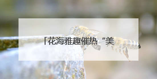 花海雅趣催热“美丽经济”——七台河市茄子河区芝樱文化旅游季启幕
