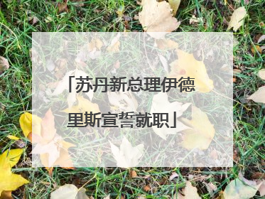 苏丹新总理伊德里斯宣誓就职