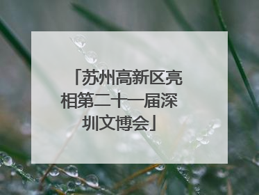 苏州高新区亮相第二十一届深圳文博会