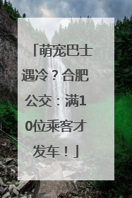 萌宠巴士遇冷？合肥公交：满10位乘客才发车！