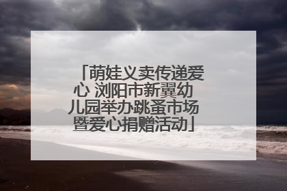 萌娃义卖传递爱心 浏阳市新翼幼儿园举办跳蚤市场暨爱心捐赠活动