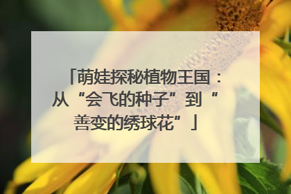 萌娃探秘植物王国：从“会飞的种子”到“善变的绣球花”