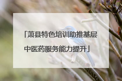 萧县特色培训助推基层中医药服务能力提升