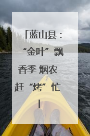 蓝山县：“金叶”飘香季 烟农赶“烤”忙