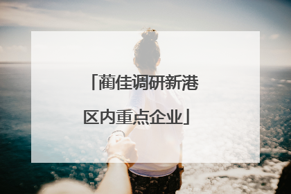 蔺佳调研新港区内重点企业