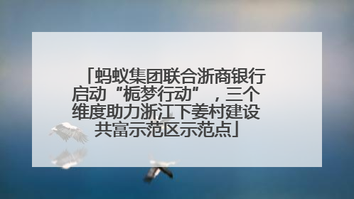 蚂蚁集团联合浙商银行启动“栀梦行动”，三个维度助力浙江下姜村建设共富示范区示范点