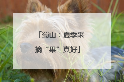 蜀山：夏季采摘“果”真好