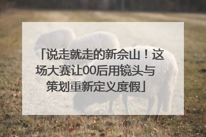 说走就走的新佘山！这场大赛让00后用镜头与策划重新定义度假