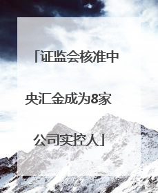 证监会核准中央汇金成为8家公司实控人