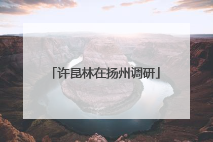 许昆林在扬州调研
