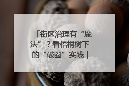 街区治理有“魔法”？看梧桐树下的“破圈”实践｜我在街区当书记
