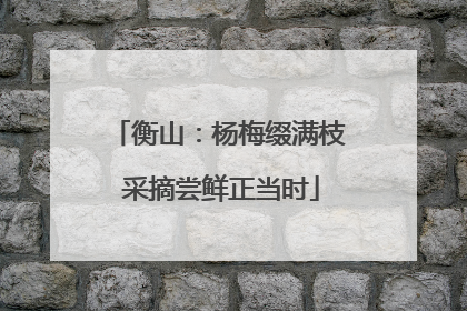 衡山：杨梅缀满枝 采摘尝鲜正当时