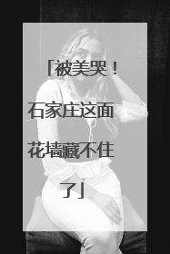 被美哭！石家庄这面花墙藏不住了