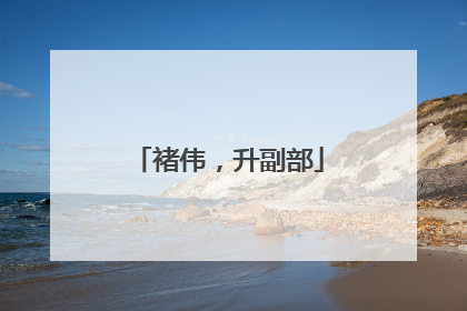 褚伟，升副部
