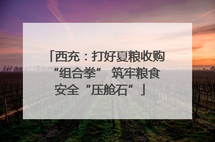 西充：打好夏粮收购“组合拳” 筑牢粮食安全“压舱石”