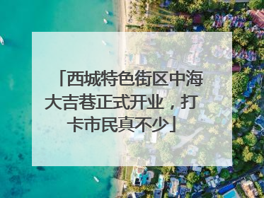 西城特色街区中海大吉巷正式开业，打卡市民真不少