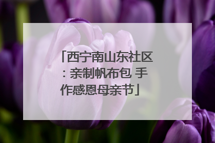 西宁南山东社区：亲制帆布包 手作感恩母亲节