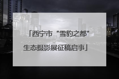 西宁市“雪豹之都”生态摄影展征稿启事