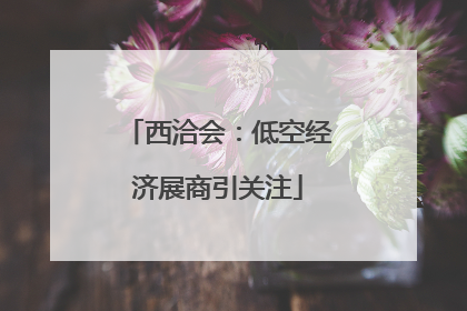 西洽会：低空经济展商引关注